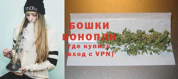 прущие грибы Нефтегорск