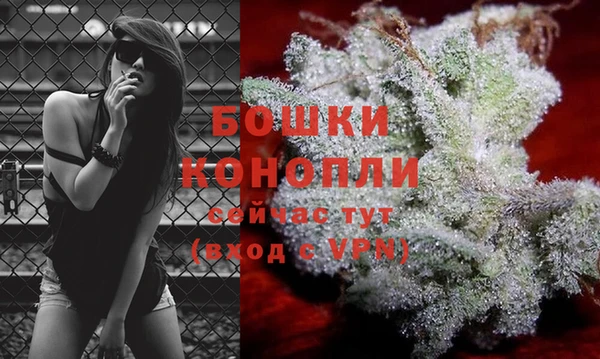 СК Нея