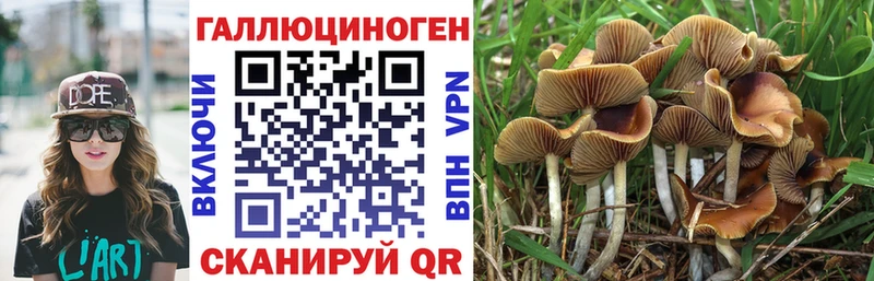 Псилоцибиновые грибы GOLDEN TEACHER  Новая Усмань 